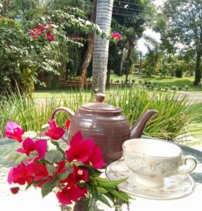 day spa riacho fundo day spa riacho fundo